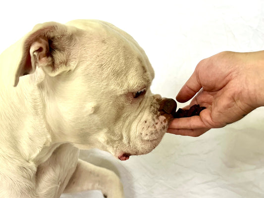 What’s the Difference Between a Dog Treat and a Functional Dog Snack?