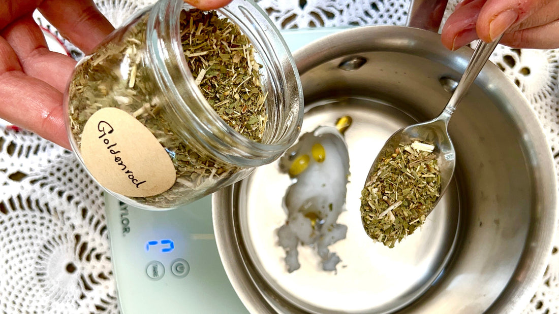 Why use herbs for dogs instead of powders or toppers?