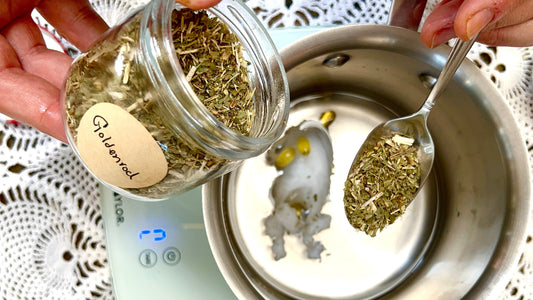 Why use herbs for dogs instead of powders or toppers?