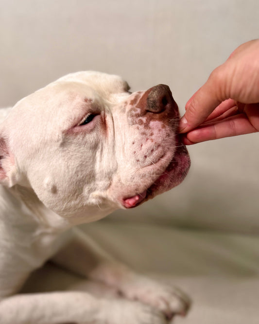 What Is Coconut Glycerin Doing in Your Dog’s Treats?