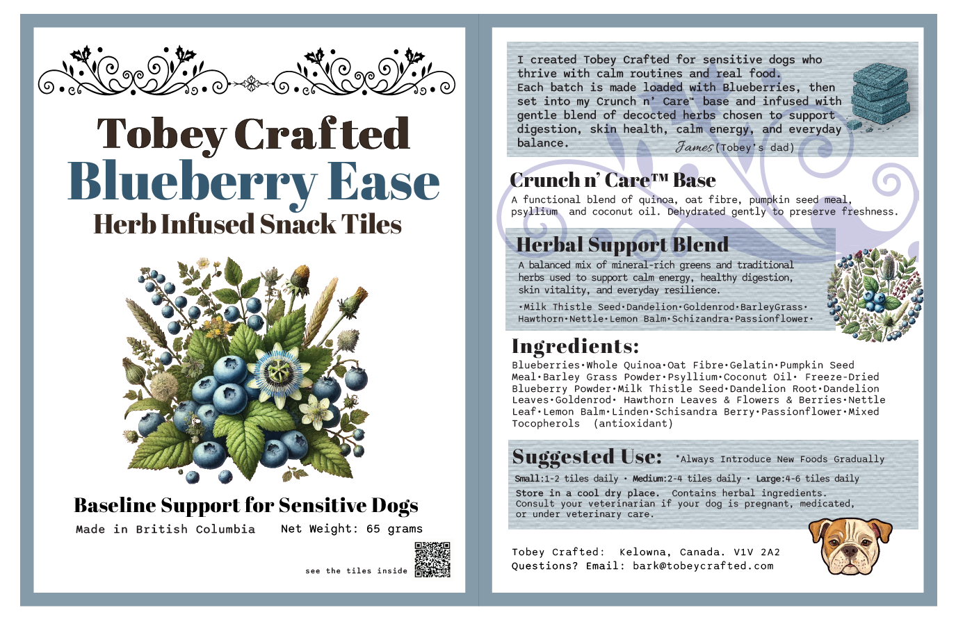 front and back packaging label for Blueberry Ease Crunch n' Care snack tiles