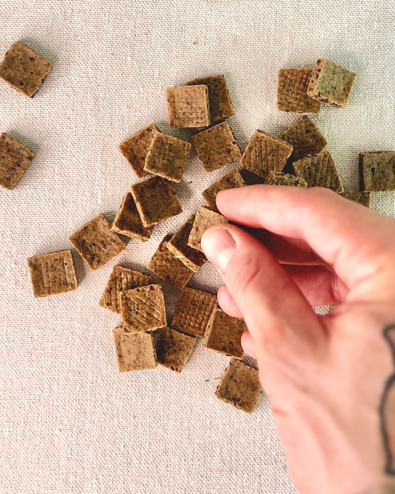 Hand holding a small square dog snack on a textured beige surface