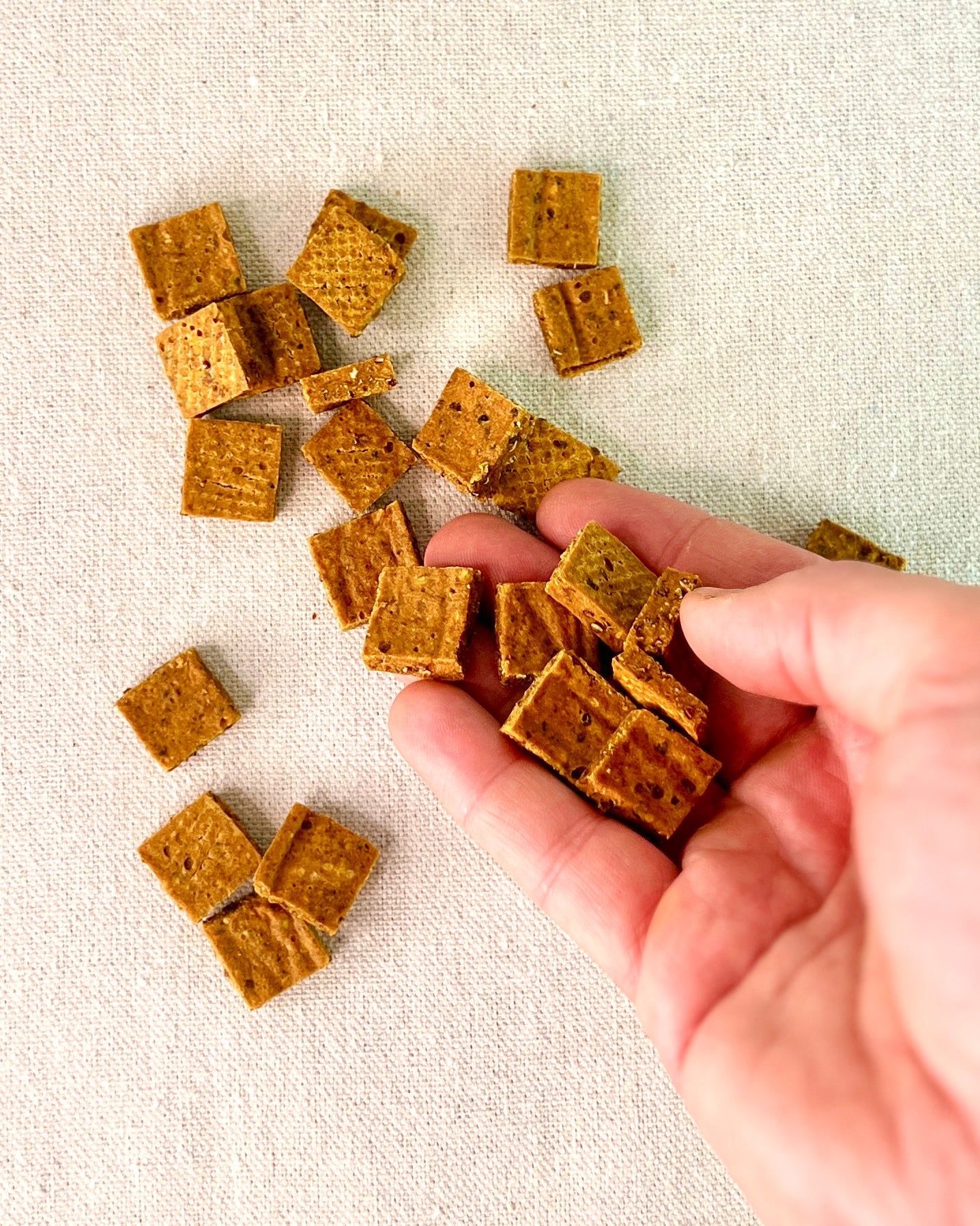Hand holding small square crunchy tiles on a textured beige surface
