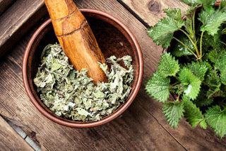 Mortar and pestle with dried nettle on a wooden surface next to fresh herbs