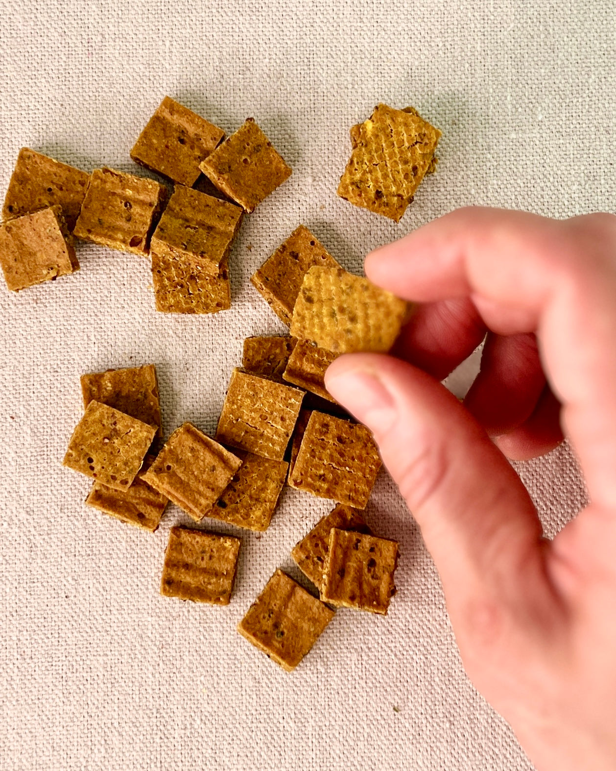 Hand holding a cracker next to a pile of crackers on a textured surface